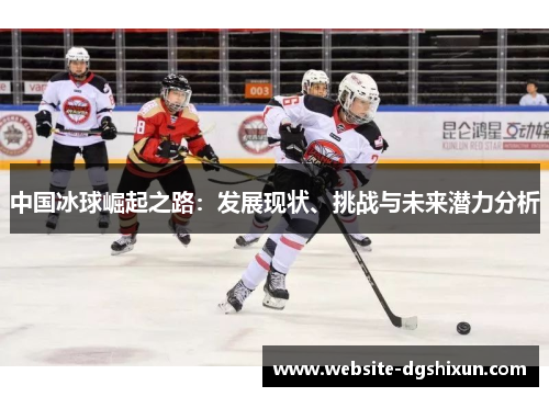 中国冰球崛起之路：发展现状、挑战与未来潜力分析
